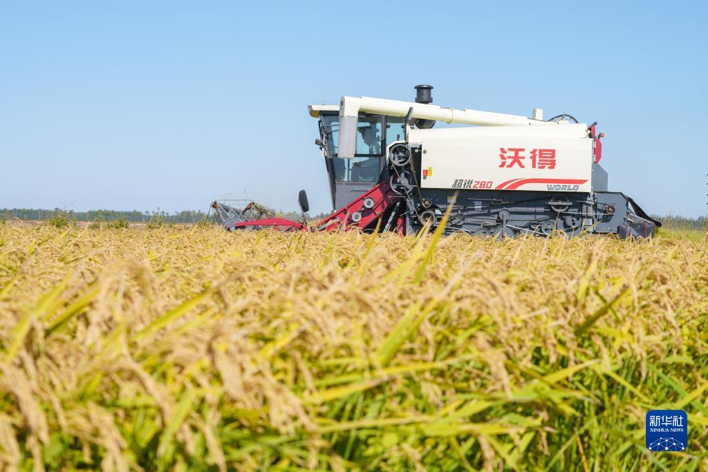 永利总站线路